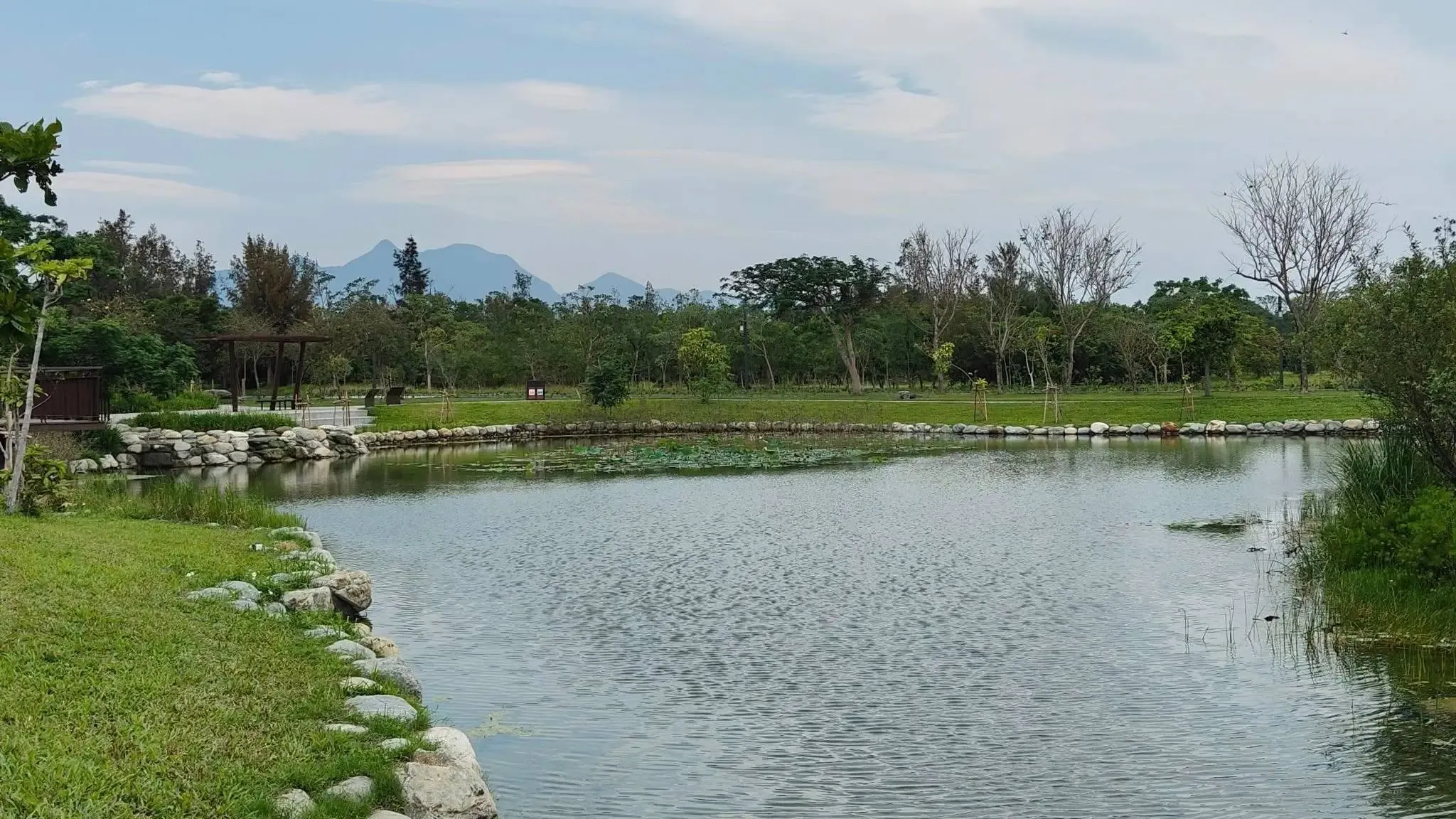 台東森林公園 8