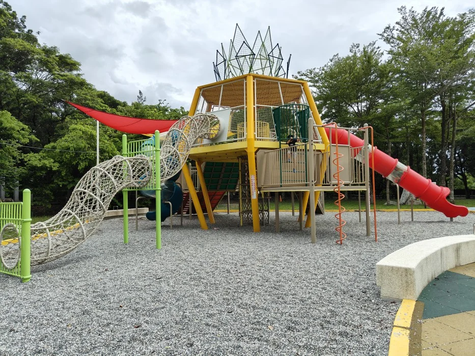 Img20240818142827