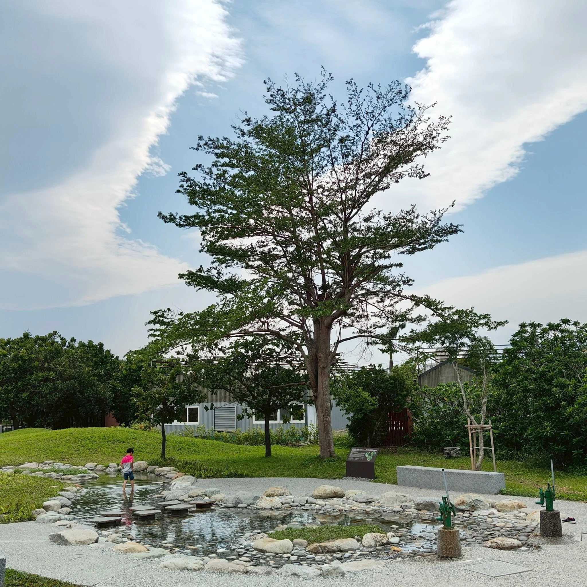 台東—台東森林公園 1