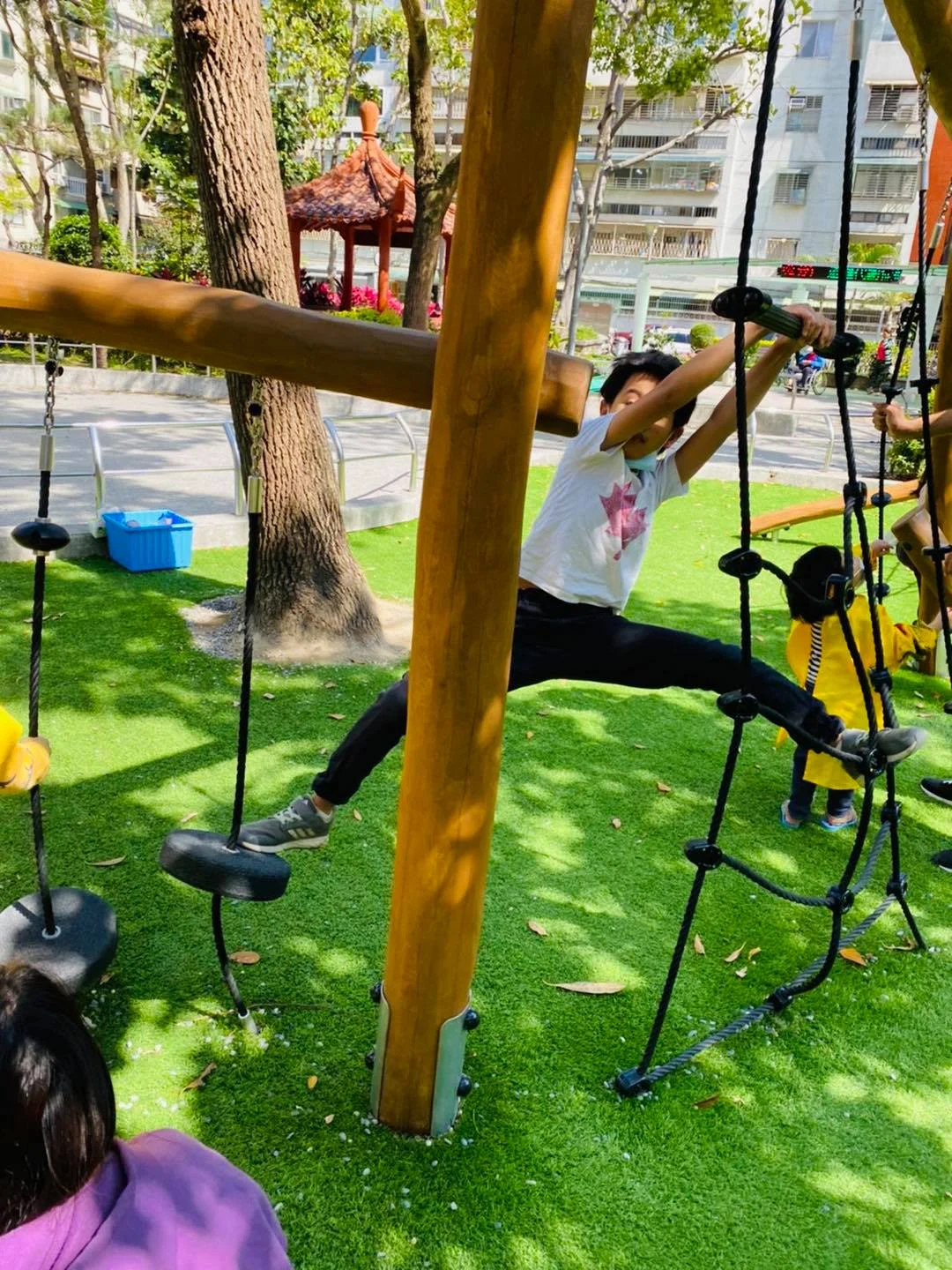 敦安公園 5