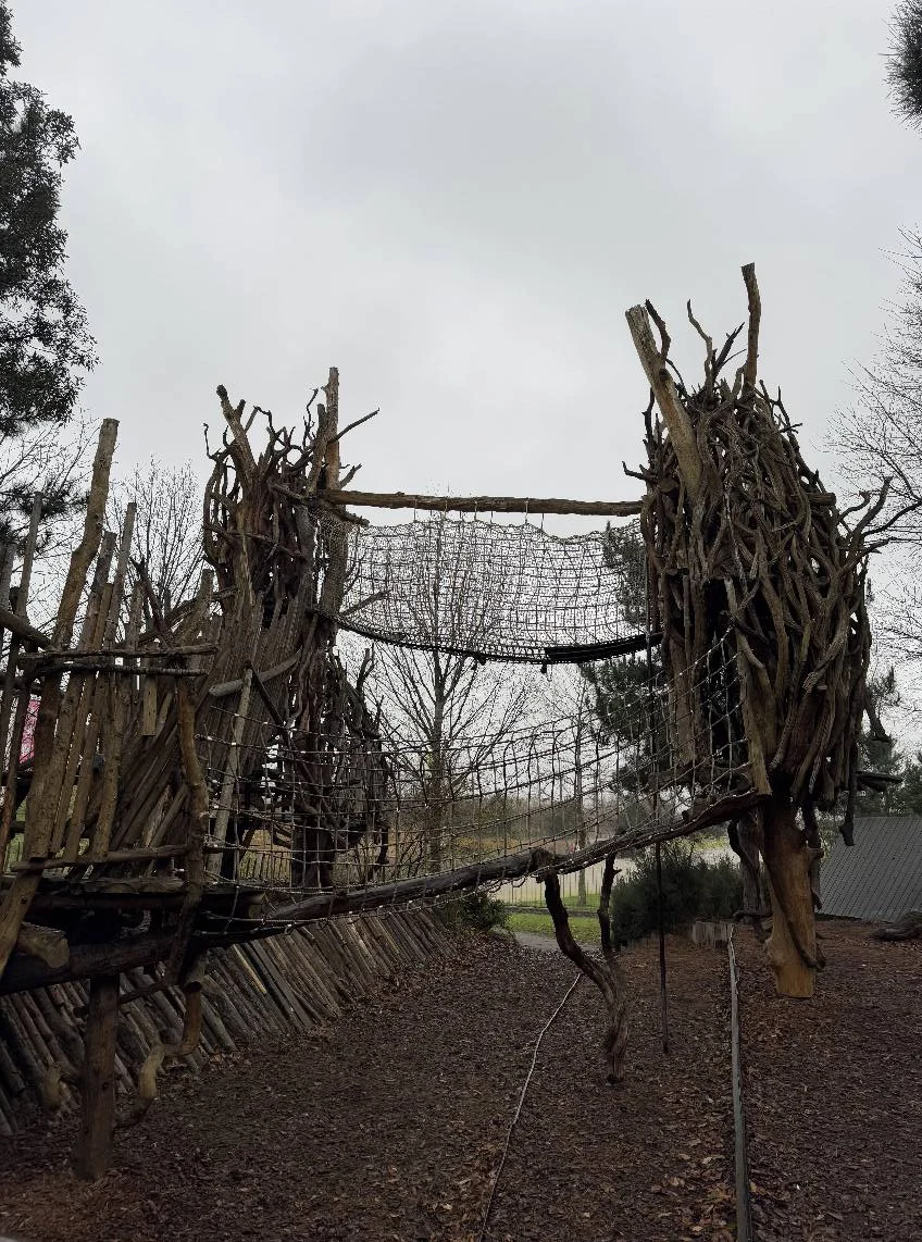 581731383 1267972075373108 2048916100144460011 N